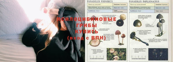 МДМА Армянск