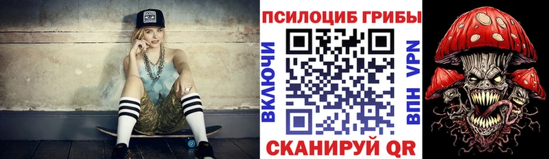 где продают   кракен зеркало  Галлюциногенные грибы Psilocybine cubensis  Саров 